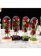 Generic Valentines Day Gifts For Her, Valentine Rose Gift For Anniversary Birthday Party Beauty And The Beast Rose Flowers Artificial Rose Flower Gift On Preserved Rose Unique Gift, Grass Black Base