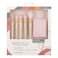 Ecotools Brush Starry Glow Kit
