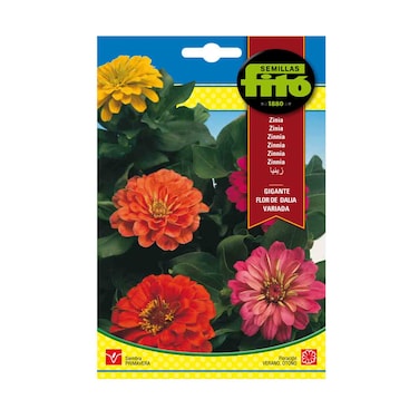 فيتو بذور ورود الزينيا