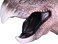 Aiwanto Soft Hand Puppet Rubber Realistic Dinosaur Role Play Toy for Kids and Toddlers