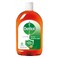 Dettol Liquid Antiseptic 500Ml+250Ml