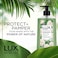 Lux Botanicals Perfumed Hand Wash Camelia &amp; Aloe Vera 500ml