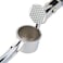 Stainless Ginger and Garlic Crusher, Garlic Chopper, Ginger Mincer, Ginger Squeezer Masher - Rustproof