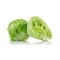 Lettuce Iceberg