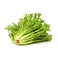 lettuce French