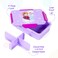 Disney Frozen Princess 1 / 2 / 3/ 4 Compartment Convertible Bento Lunch Box - Purple