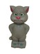 Child Toy Talking Tom Toy