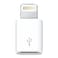 Cellairis Micro USB To Lightning Adapter