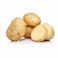 Potato Cook - 5 Kg