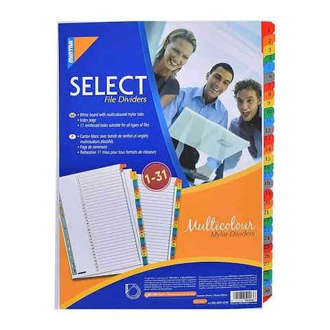 Mintra Mylar Dividers - 1-31