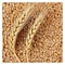 Yash Wheat - Weighed In Store