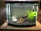 2-4mm Super Naturals River Black Sand Aquarium Substrate For Fish Tank Vase Fillers, Fairy Garden, Landscaping Black Plant Soil For Pot Decorations-10kg
