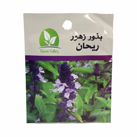 Green Valley Basil Seeds - 10 gram