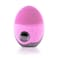 Pritty Facial Cleansing Brush/Massager Kl-1806