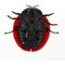 FITTO Remote-Controlled Wall Climbing Ladybug Toy, Fun Toy for Children and Adult