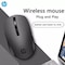 HP WIRELESS MOUSE S1000 PLUS