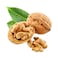 Walnut Import