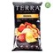 Terra Original Sea Salt Real Vegetable Chips 141g