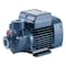 PEDROLLO PKM60 .37KW PUMP
