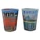 Souvenir Printed Glass Multicolour 2 PCS