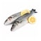 Frozen Medium Mullet - 3 Pieces/kg