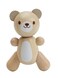 Plantoys Wooden Little Bear