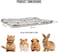Pet blanket for large and medium pets, Ultra-soft blanket with cute print design, Reversible pet blanket for dogs and cats, Warm and comfortable in all seasons 70 cm (Light grey)