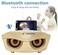 The Mohrim Karaoke Speaker Portable Bluetooth Karaoke System Machine With Bluetooth