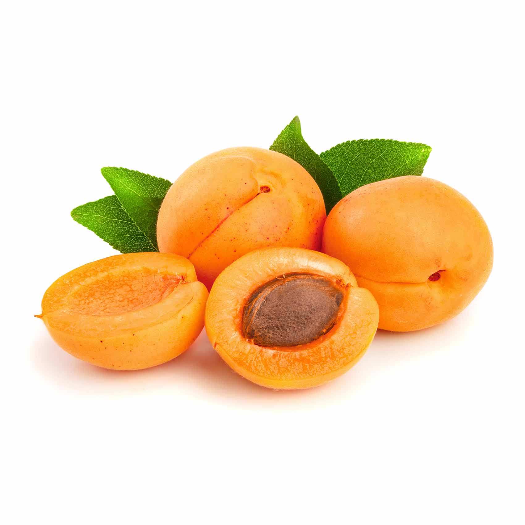 Apricot