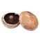 Mushroom Portobello Local 250G