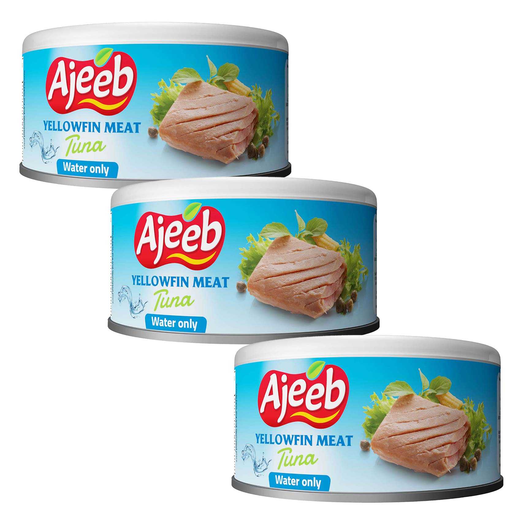 Buy Ajeeb Yellowfin Meat Tuna in Water 170g Pack of 3 Online ...