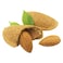 Fresh Almond In Shell