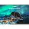 TCL 85-Inch 4K Google Smart QLED TV 85C645 Black