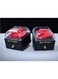 Generic Eternal Rose Gift Box, Handmade Fresh Preserved Rose Gift For Her On Birthday,Christmas,Mother's Day,Valentine's Day (Red) (Necklace Not Included)