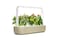 CLICK &amp; GROW SMART GARDEN 9 BEIGE