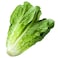 Romaine Lettuce