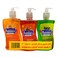 Bubbles Liquid Soap 3X500ML