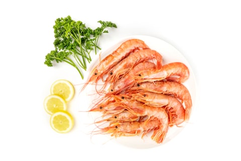 Suez Small Shrimps - 41-50