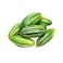 India Potol/Pointed Gourd