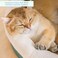 Dugyluv Cat Bed Pet Cave Bed with Anti-Slip Bottom, Cat House Suitable for Cats and small dogs, Cat Bed with Removable Washable Cushion, Soft Calming Bed with Hanging Toy Ideal for Cats