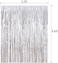 Party Time 1mx2m Silver Metallic Foil Fringe Tinsel Curtain Birthday Party Backdrop Decoration