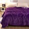 Fabienne Silky Plain Microfiber Bed Blanket Double Size Purple