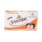 Santoor Body Soap Bar 75g