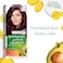 Garnier Color Naturals Cr&egrave;me Nourishing Permanent Hair Color, 3.6, Deep Red Brown