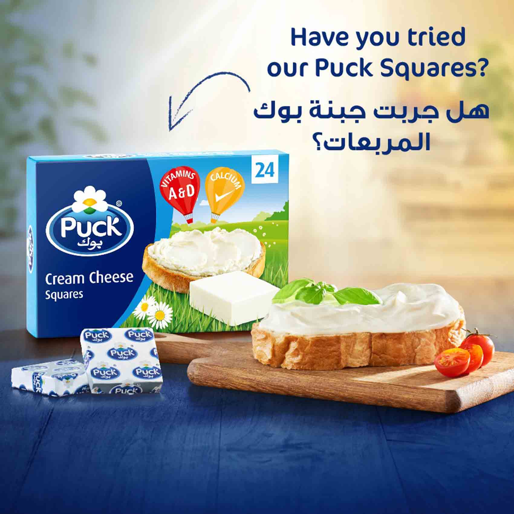Puck Spread Cream Cheese 500 Gram product thumbnail 6