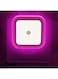 Generic LED Plug In Night Light Super Smart Socket Dusk To Dawn Sensor Lights