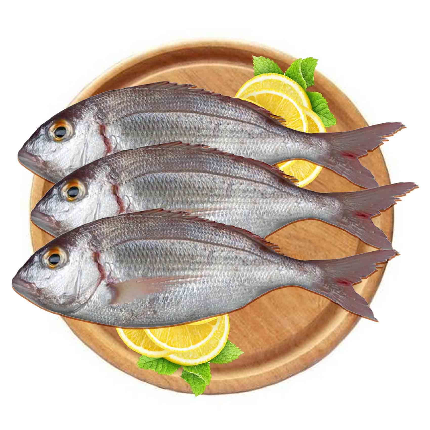 Jarbideh Fish