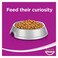 Whiskas Bites Chicken Adult 80 gr