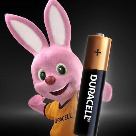 Duracell Type AA Alkaline Batteries 12 Pieces