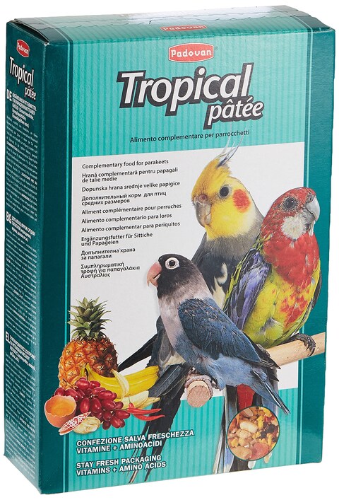 Padovan Tropical Patee Bird Food 700gm